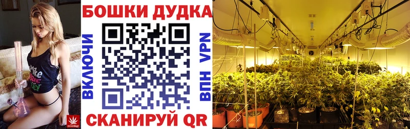 Цена Новотроицк Конопля Альфа ПВП Гашиш Галлюциногенные грибы Cocaine