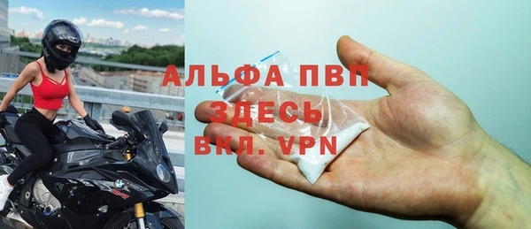 прущие грибы Пестово