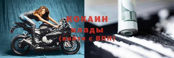 прущие грибы Абдулино