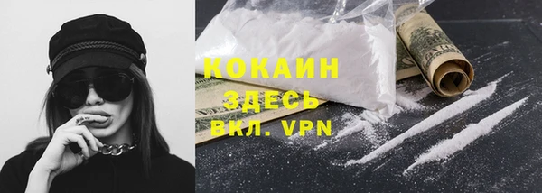 прущие грибы Пестово