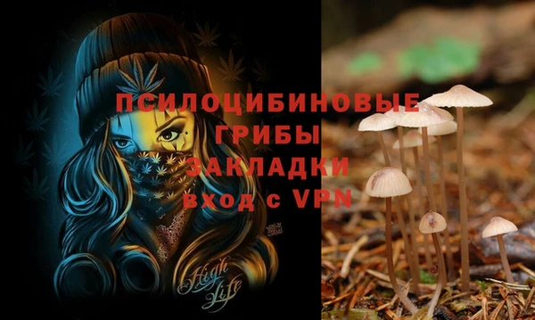 a pvp Абинск