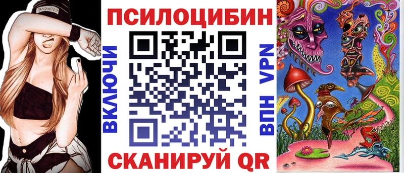 купить blacksprut ссылки Галлюциногенные грибы Cubensis Новотроицк