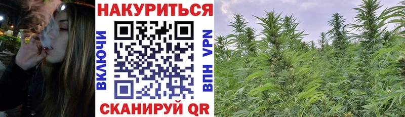 Бошки марихуана THC 21%  что такое   блэк спрут ССЫЛКА  Новотроицк 